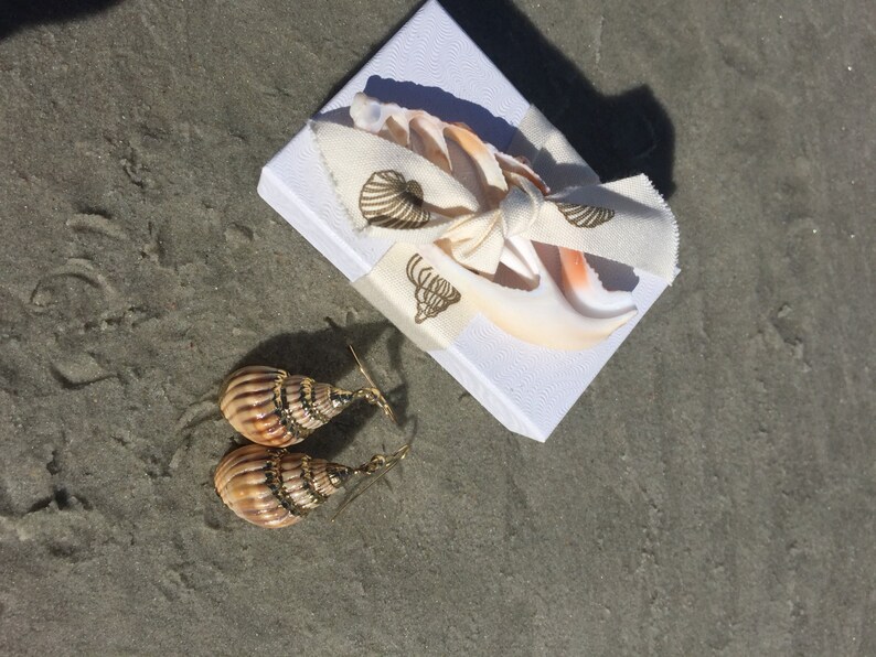 May include: A pair of shell earrings with gold accents on a sandy background. The earrings are made of natural seashells and are a beautiful and unique piece of jewelry.