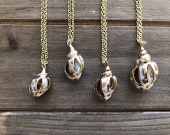 Collar de conchas bañado en oro: colgante bohemio playero y chic