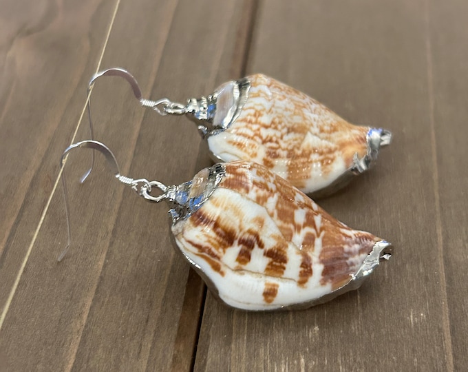 Silver Accented Conch Shell Earrings