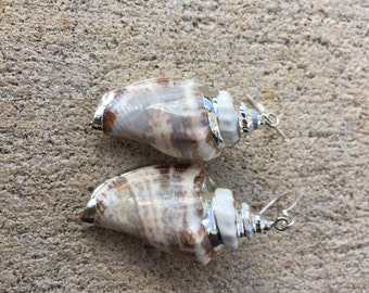 Sterling Silver Conch Shell Earrings