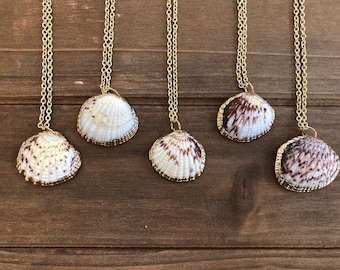 Collar pequeño de conchas marinas: joyería bohemia de playa
