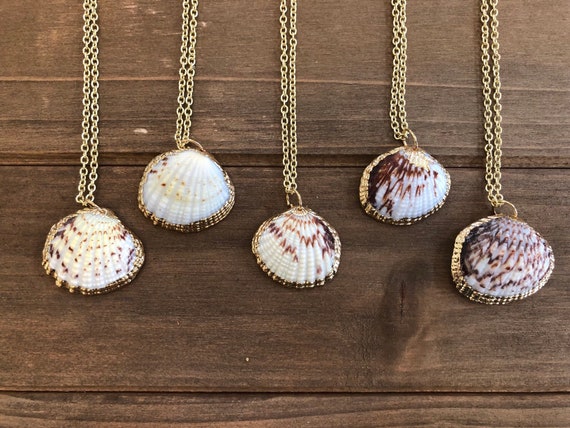 Mini seashell best sale necklace
