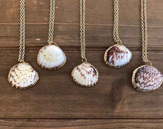 Small Seashell Necklace