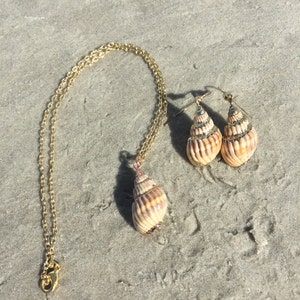 May include: A gold chain necklace and matching earrings featuring a seashell pendant. The seashells are a light brown color with a natural pattern.