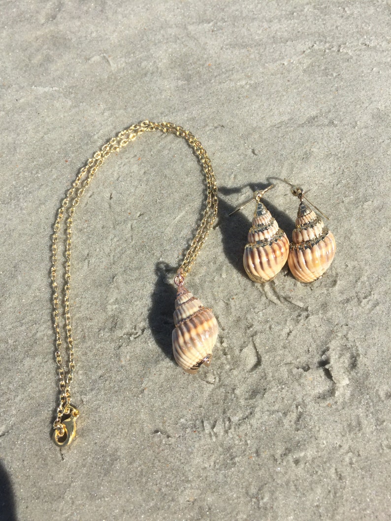 May include: A gold chain necklace and matching earrings featuring a seashell pendant. The seashells are a light brown color with a natural pattern.