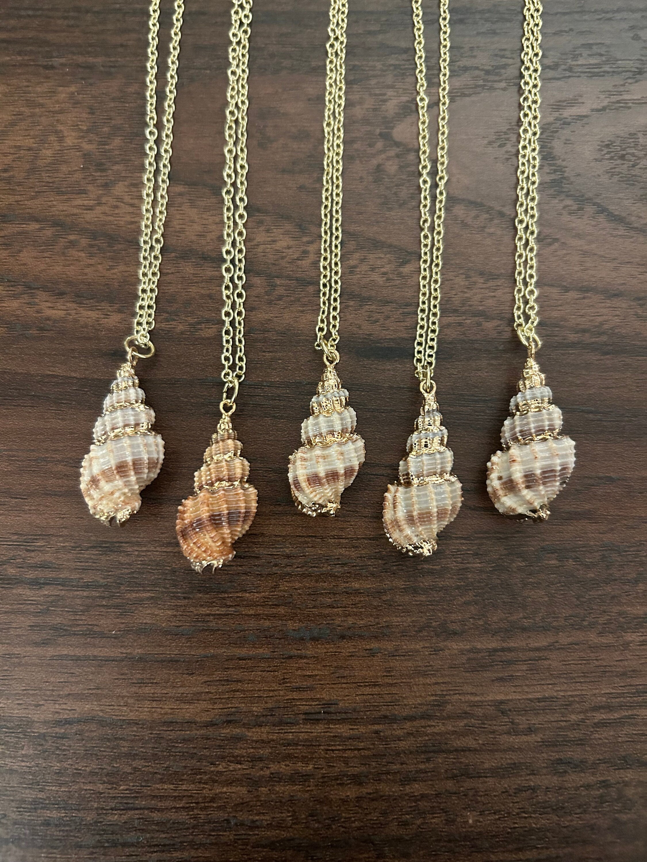 Small Conch Shell Necklace Small Conch Shell Necklace