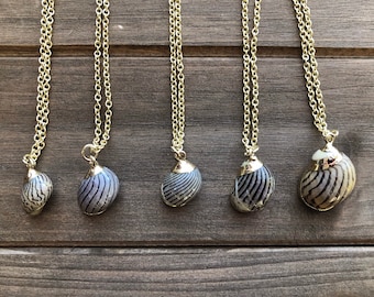 Zebra Shell Necklace