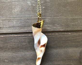 Collar de concha de coral: cadena de oro, joyería de sirena