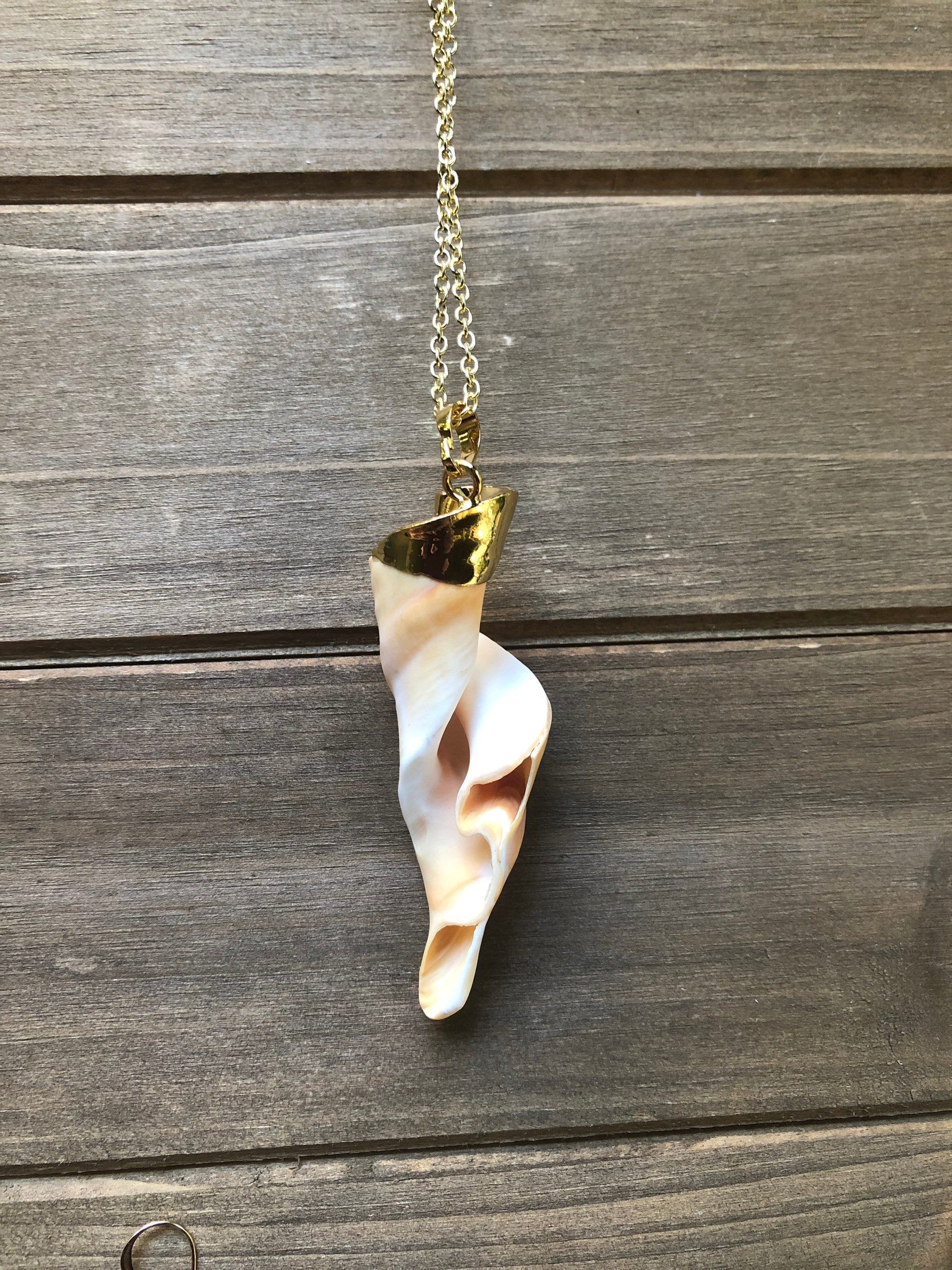 Coral shell jewelry sale