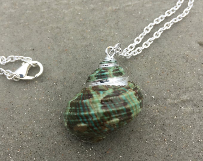 Green Turban Shell Necklace