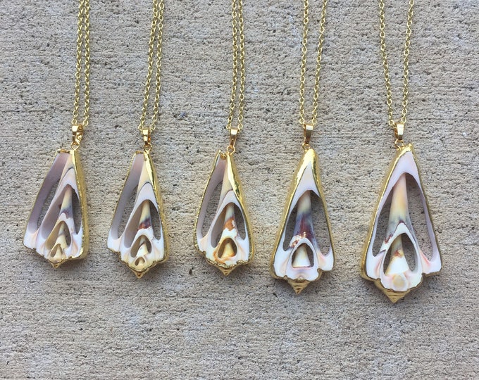 Sliced Shell Pendant Necklace