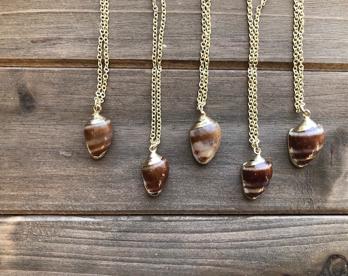 Small Brown Seashell Necklace