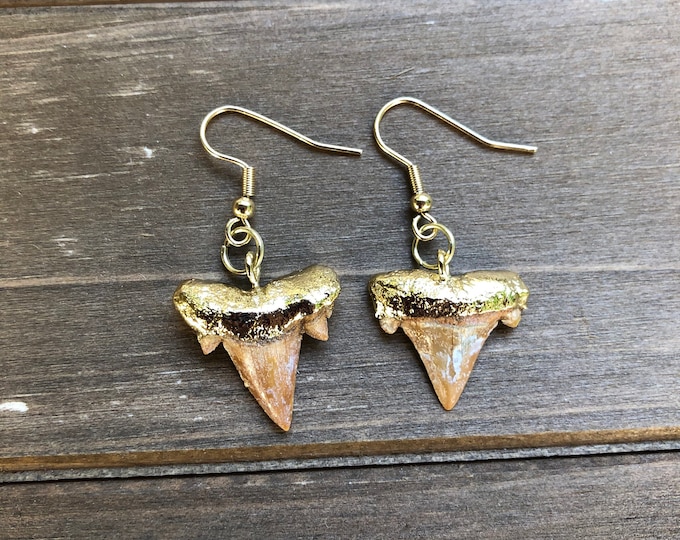 Small Shark Tooth Earrings