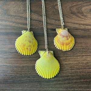 May include: Three gold necklaces with yellow scallop shell pendants. The shells have a textured, ribbed surface and a gold trim.