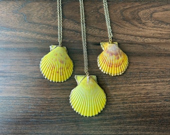 Yellow Scallop Shell Necklace