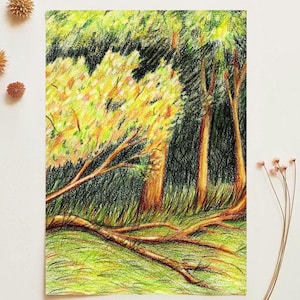 Woodland Art Print – Sunny Forest Illustration | Whimsical Nature Wall Decor