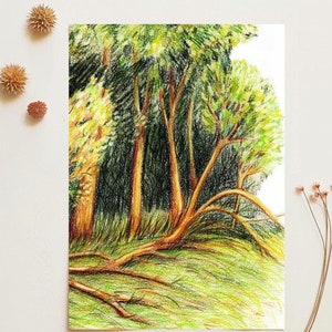Sunny Forest Art Print – Woodland Landscape Wall Art, Cozy Nature Illustration, Mini Botanical Home Decor, Tree Artwork