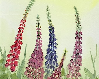 Original Tusche und Aquarell Malerei, 'Tanzende Fingerhüte', Aufgezogen 45 cm x 35 cm