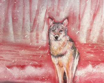 Snow Wolf, original soft pastel painting mounted ready to frame 16” x 12”