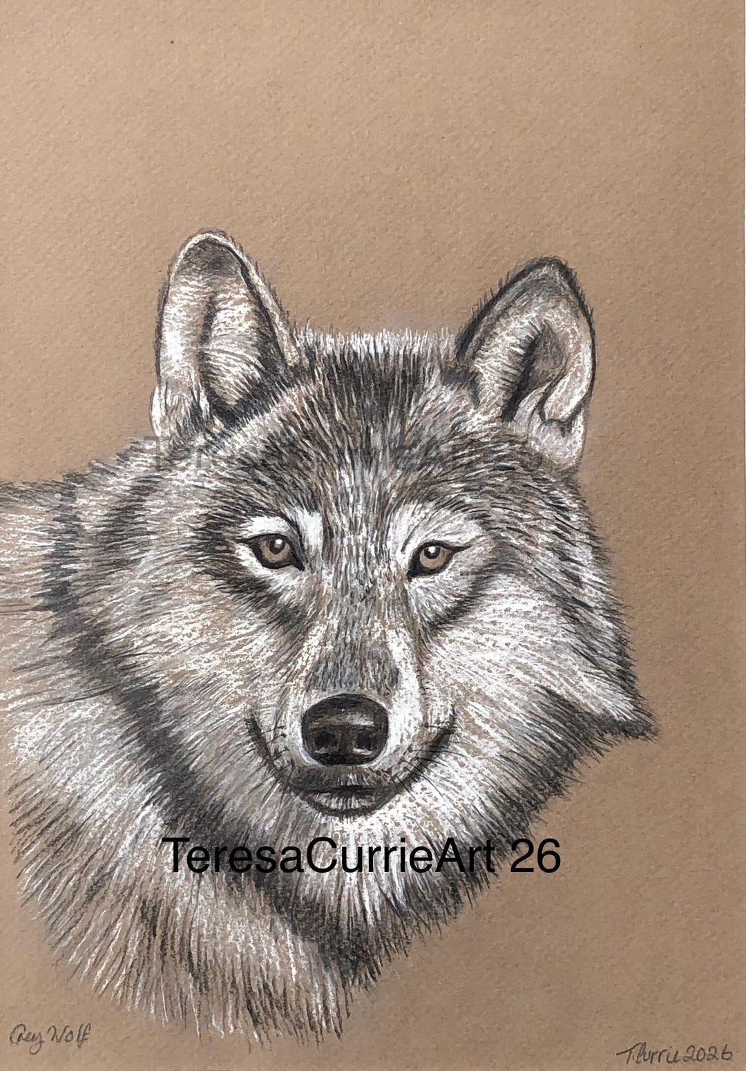 Wolves Graphite Drawing Grey Wolf, Wildlife Art, Graphite and White Coal Drawing on Canson Mi ...