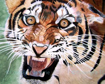 Tiger - Giclee print from original watercolour