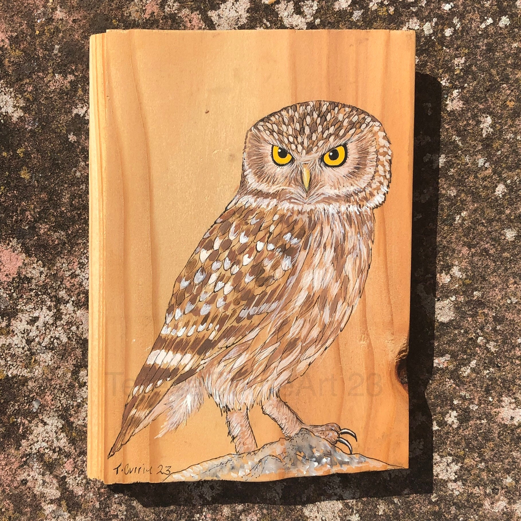 Little Owl, original painting on reclaimed Larch, unique wall art