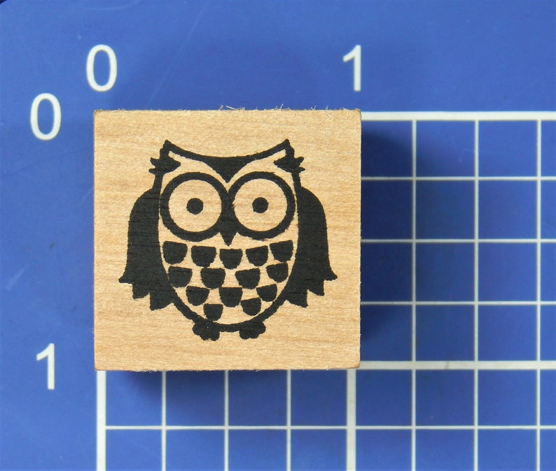 Wood Mounted Rubber Stamp by Recollections OWL