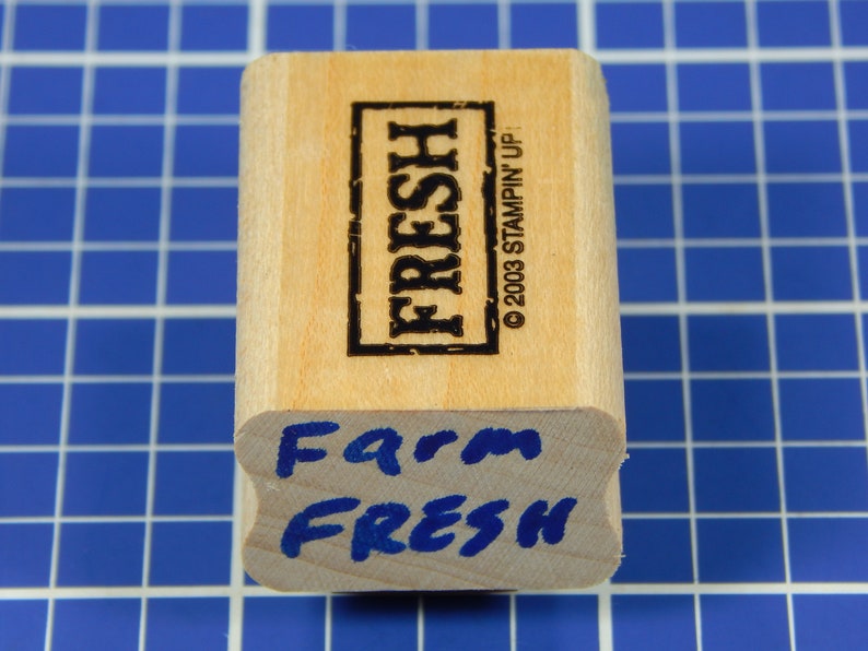 FRESH Wood Mounted Rubber Stamp by Stampin/' Up!