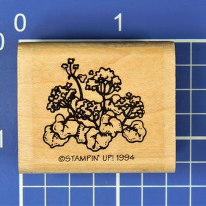 FIORI e FOGLIE, timbro in gomma di Stampin' Up!