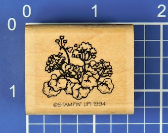 FLOWERS and LEAVES, Rubber Stamp by Stampin' Up!