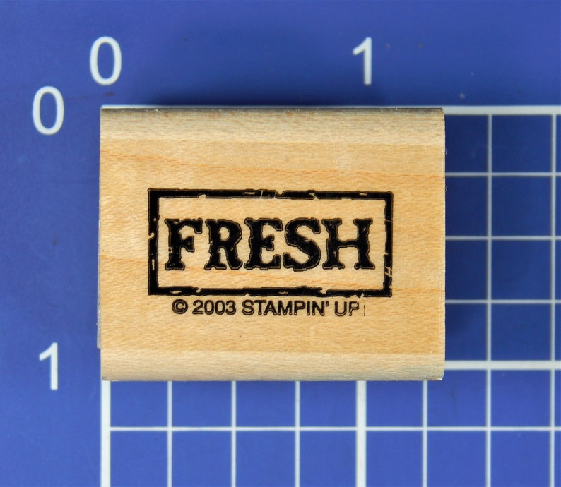 FRESH Wood Mounted Rubber Stamp by Stampin/' Up!