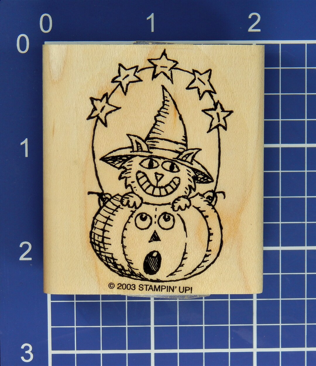 GRINNING CAT in PUMPKIN Rubber Stamp Stampin' Up Etsy