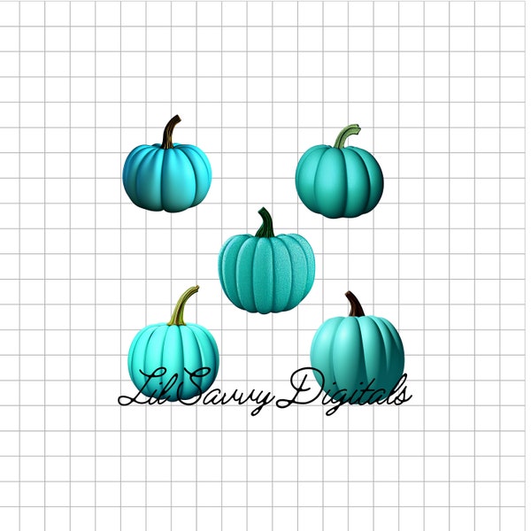Teal Pumpkin - Etsy