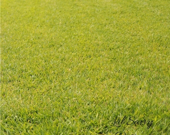 Green Grass Photography Background (Digital Download)