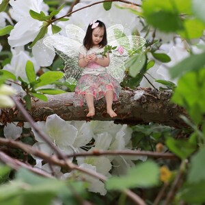 digital backgrounds, nature background, flower background, fairy background, digital backdrop, backgrounds for editing, backgrounds for kids