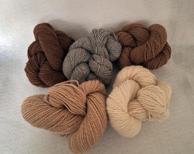 2-ply alpaca wool blend yarn, all natural undyed sport/DK weight, 200 yard skeins, 5 neutral shades of white, gray & brown, ready to ship