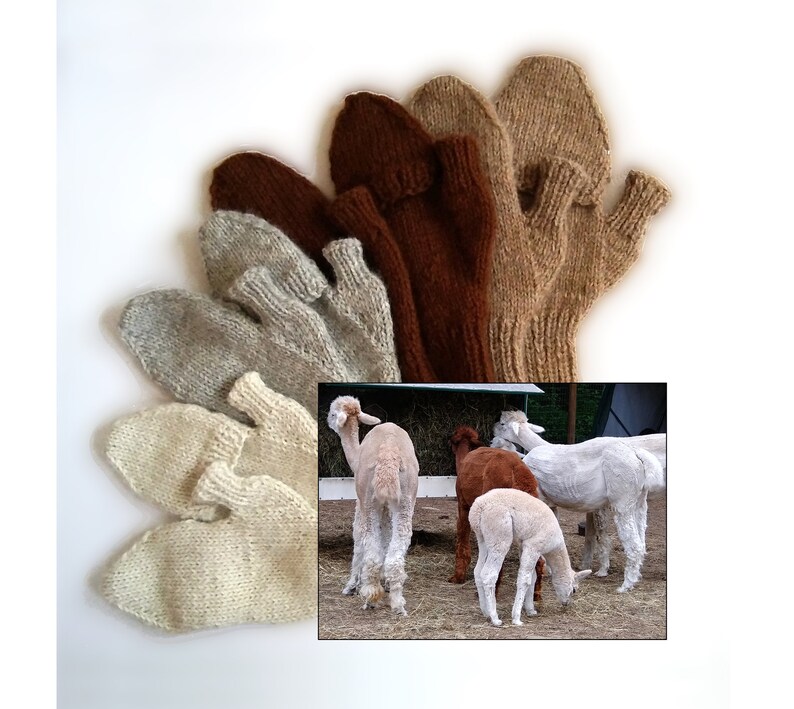 Custom-knit alpaca flip-top mittens, handknit glittens made-to-order from New England raised alpaca, all natural, lightweight, soft and warm image 1