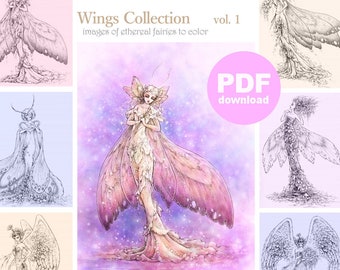 Paquete de páginas para colorear para adultos en PDF - Colección Wings vol. 1 - Colección de 6 hermosas páginas para colorear de hadas de fantasía de Mitzi Sato-Wiuff