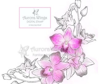 Digital Stamp - Instant Download - Orchid Corner - Elegantly Arranged Floral Corner - Floral Line Art for Cards & Crafts by Mitzi Sato-Wiuff