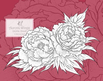 PNG JPG Digital Stamp - Instant Download - Peony - Two Luscious Blooms with Leaves - Floral Line Art for Cards & Crafts by Mitzi Sato-Wiuff