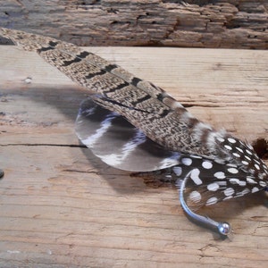 Puede incluir: Una pluma de faisán marrón y blanca con un gancho plateado. La pluma tiene un patrón moteado.