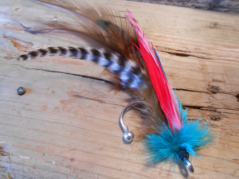 May include: A silver ear cuff with a turquoise and red feather earring. The feather is long and has a black and white pattern.