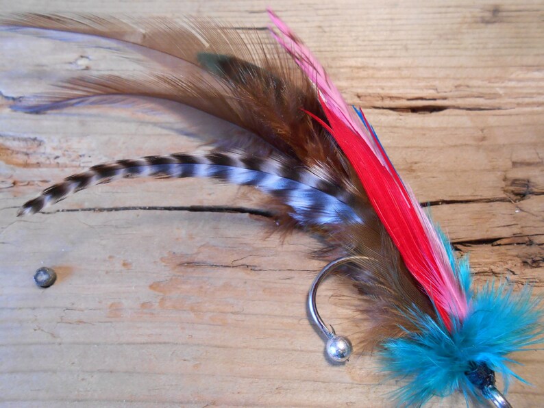 May include: A turquoise, pink, and red feather earring with a silver hook and bead.