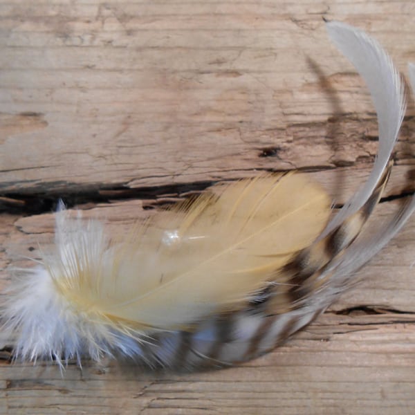 The FISHERMAN'S Collection.Tie Fly Boutonniere ButtonHole Fishing Wedding Gift Gold Gatsby Yellow Grey Ivory Men Pin Pheasant Feather 1920