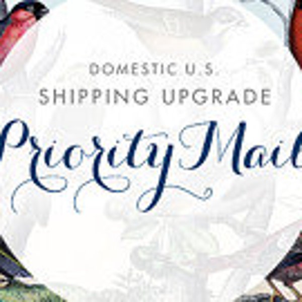 SHIPPING UPGRADE.Tie Fly Domestic Priority Mail United States Postal Service.USA Only.Tracking.Confirmation.Insurance Fishing Boutonniere