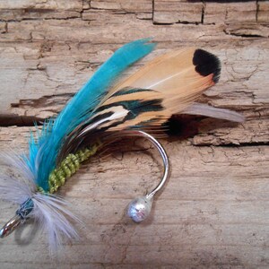 May include: A fly fishing lure with a silver hook, a green and brown body, and a blue, brown, and black feather tail.