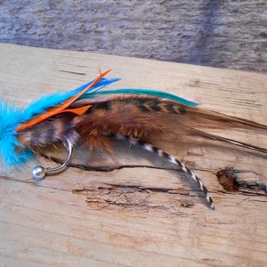 May include: A colorful fly fishing lure with brown, orange, blue, and white feathers. The lure is tied on a silver hook with a silver bead.