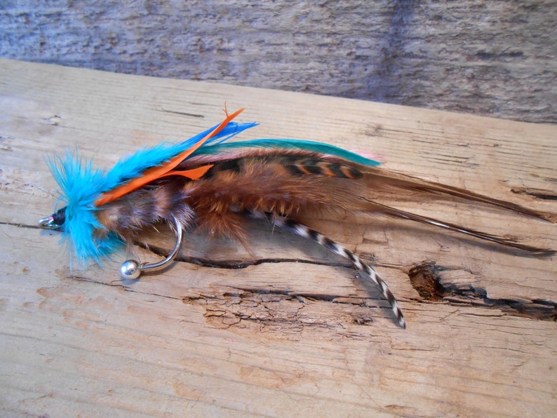 May include: A colorful fly fishing lure with brown, orange, blue, and white feathers. The lure is tied on a silver hook with a silver bead.