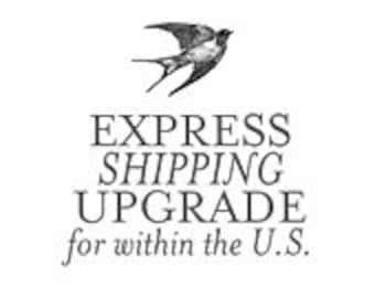 SHIPPING UPGRADE.Tie Fly Domestic Priority Mail Express Shipping.Within USA Only Upgrade Feather Wedding Hook Gift Men Fishing Boutonniere