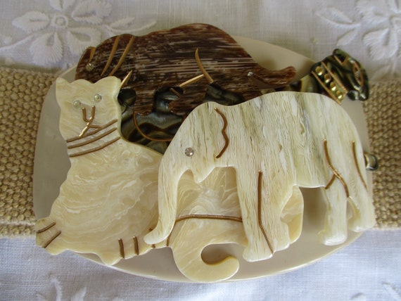 Animal Kingdom Belt